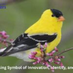 Cbybxrf: The Rising Symbol of Innovation, Identity, and Digital Culture Cbybxrf: The Rising Symbol of Innovation, Identity, and Digital Culture