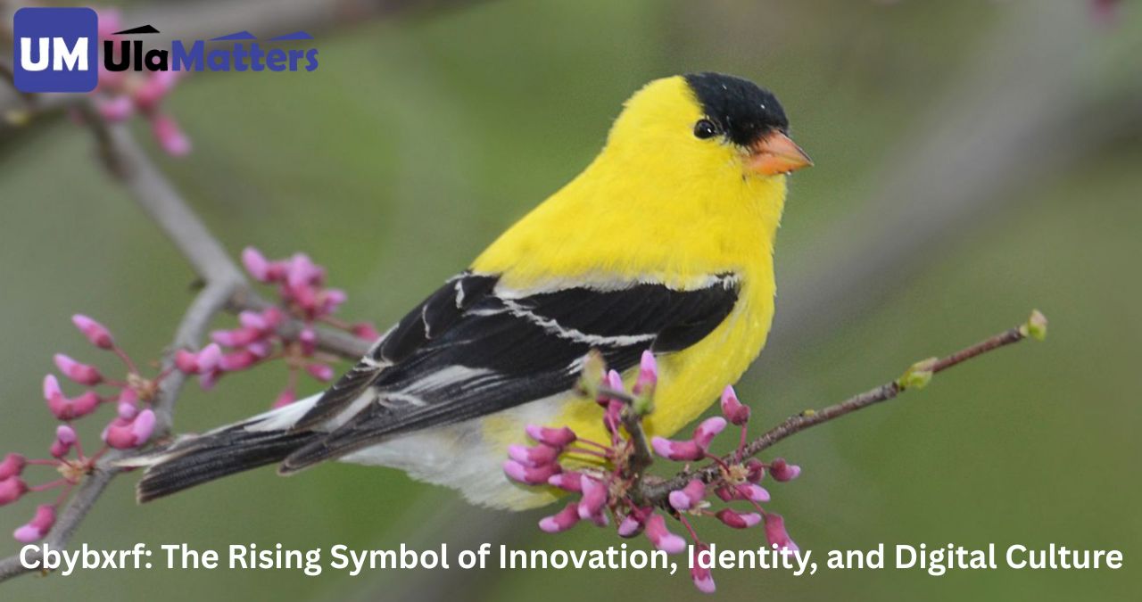 Cbybxrf: The Rising Symbol of Innovation, Identity, and Digital Culture