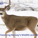 Viltnemnda: Preserving Norway's Wildlife and Natural Heritage Viltnemnda: Preserving Norway's Wildlife and Natural Heritage