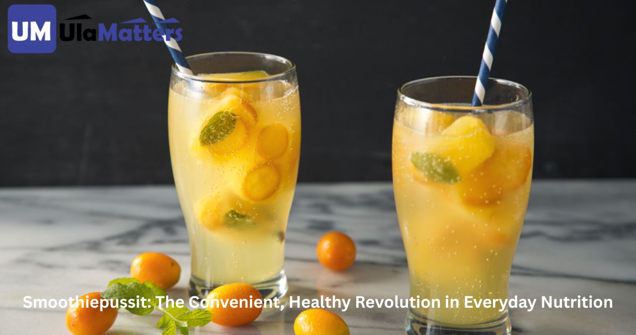 Smoothiepussit: The Convenient, Healthy Revolution in Everyday Nutrition